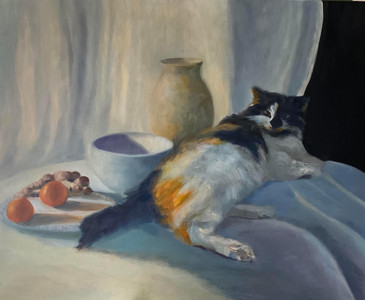 Cat interrupts my still life