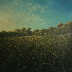 Grassy field