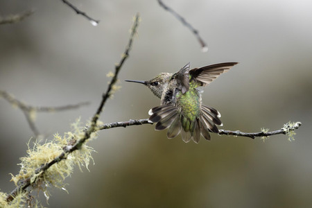 Ready for Takeoff