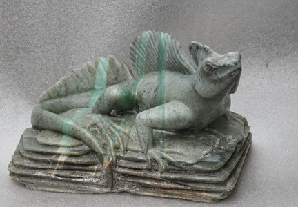 Basilisk lizard