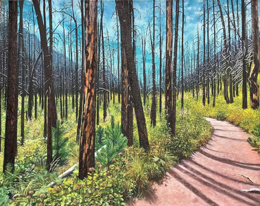 Path of Recovery