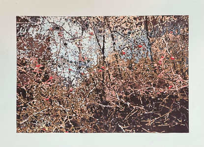 The Sky in a Puddle. Some Rosehips in the Rain.