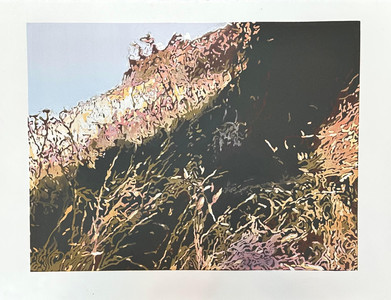 Grass and Tree: Sun and Shade.