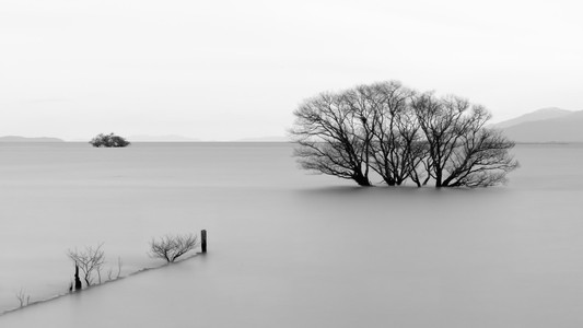 Rising Seas