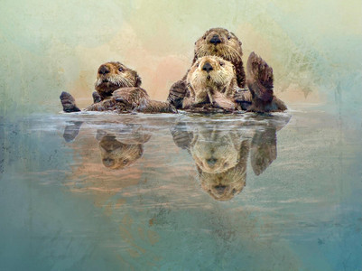 Reflections of Curiosity