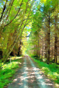 CANADA TRAIL