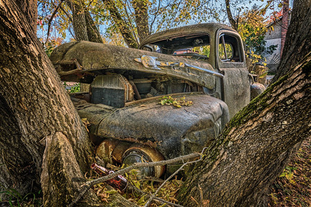 Calabogie Relic
