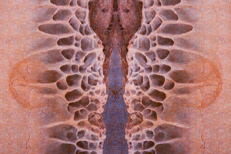 Skeleton