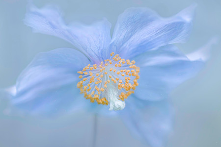 Ethereal Blue