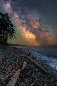 In a world of sea and stars at Jordan River, BC