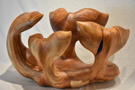 Pod
