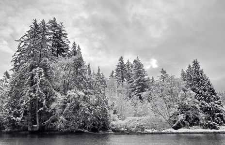 Winter Snow on the Sooke River