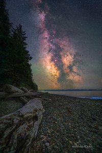 The Milky Way core rises at China Beach, Vancouver Island