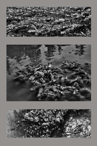 "Crystal Herring Jewels" Triptych
