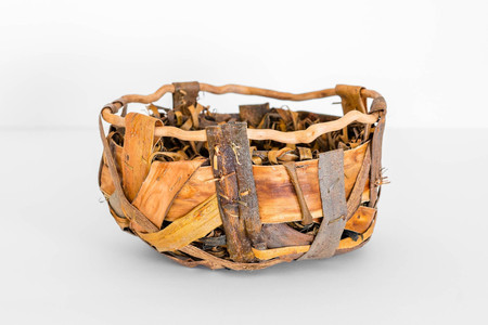 Nest Within